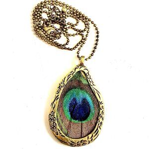 ALEXANDRA'S ACCENTS Y2K Boho Brass Framed Peacock Feather Pendant & 22"Chain